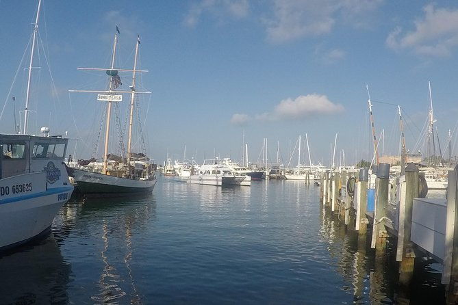 full-day-key-west-tour-and-coral-reef-snorkeling-with-open-bar-2