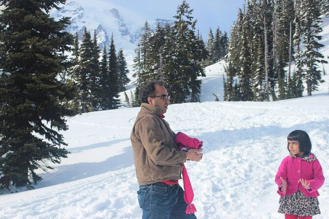 full-day-mt-rainier-national-park-private-tour-in-suv