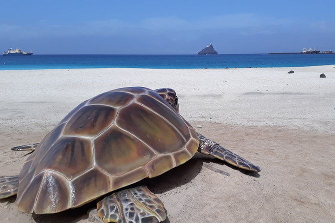full-day-private-boat-charter-caribbean-adventure