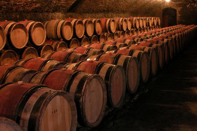 full-day-private-tour-10-premiers-grands-crus-the-best-of-burgundy