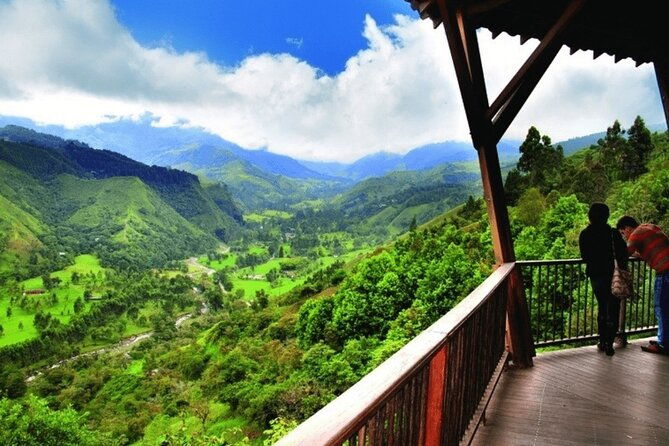 full-day-private-tour-to-valle-del-cocora-and-salento