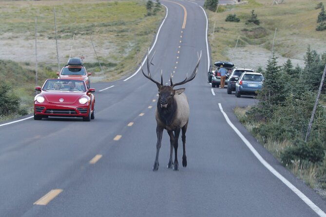 full-day-rocky-mountain-national-park-over-the-top-tour-rmnphotographer-2