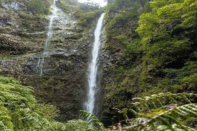 full-day-self-guided-hike-in-caldeirao-verde-levada-2