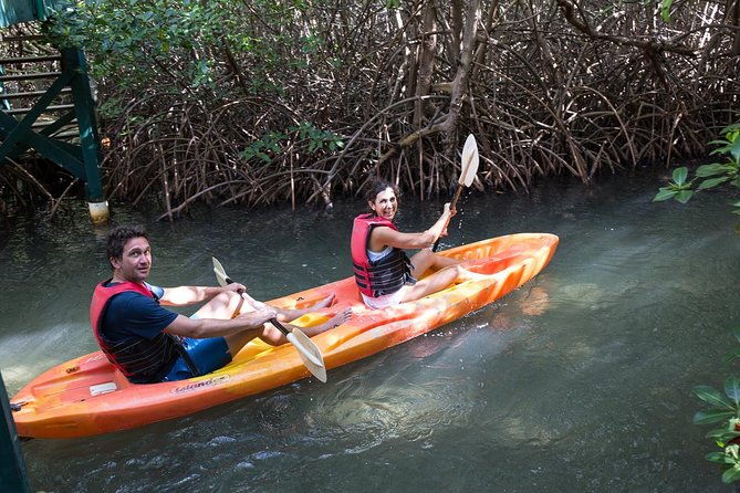 full-day-socoho-historic-sites-mangrove-kayak-reef-snorkeling