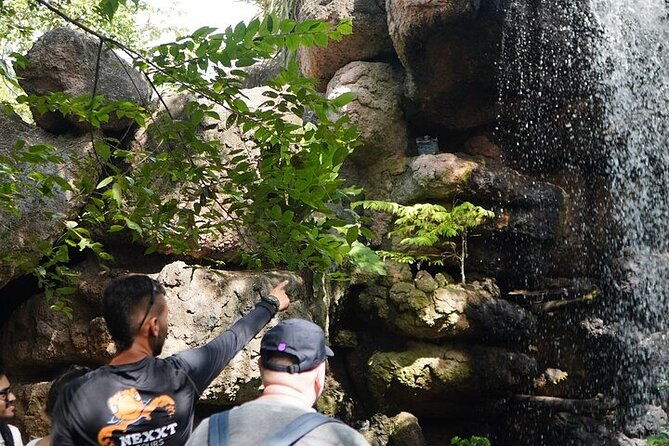 full-day-tour-baru-national-aviary-and-playa-blanca-bioluminescent-plankton