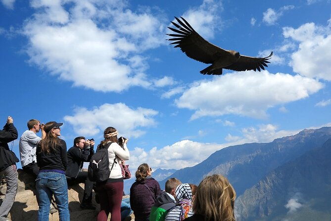 full-day-tour-to-colca-including-transfer-to-puno