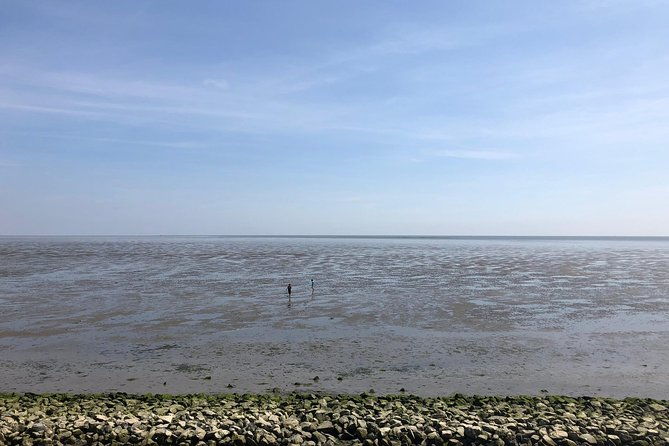 full-day-tour-to-texel-friesian-islands-from-amsterdam-2