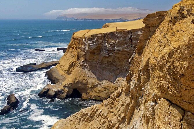 full-day-tour-to-visit-ballestas-islands-and-paracas-reserve