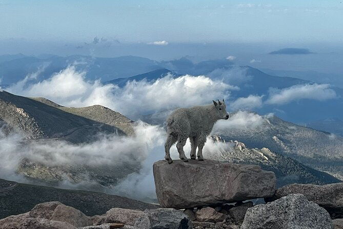 full-day-views-and-scenic-mount-evans-private-guided-drive-tour