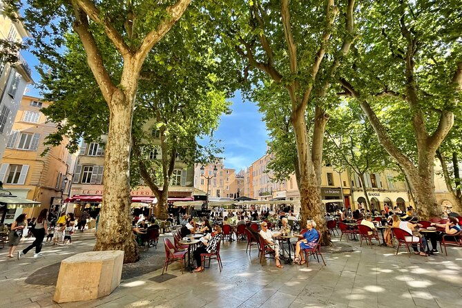 full-day-wine-and-cheese-tour-around-aix-en-provence-from-marseille