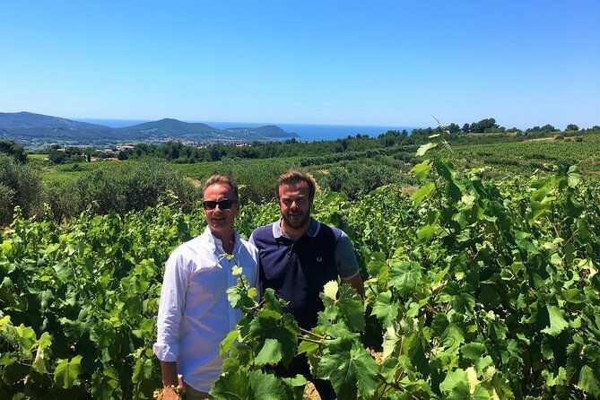 full-day-wine-tour-around-bandol-cassis-from-marseille