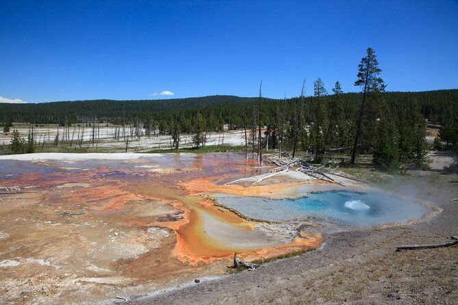full-day-yellowstone-natl-park-tour-from-big-sky-private-tour