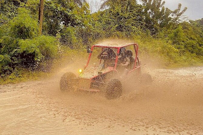 fun-buggys-tour-from-amber-cove-or-taino-bay