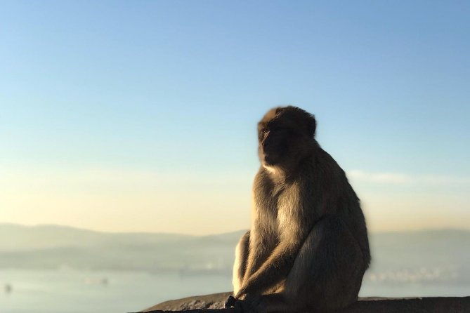 gibraltar-sightseeing-premium-rock-tour-shore-excursion-private