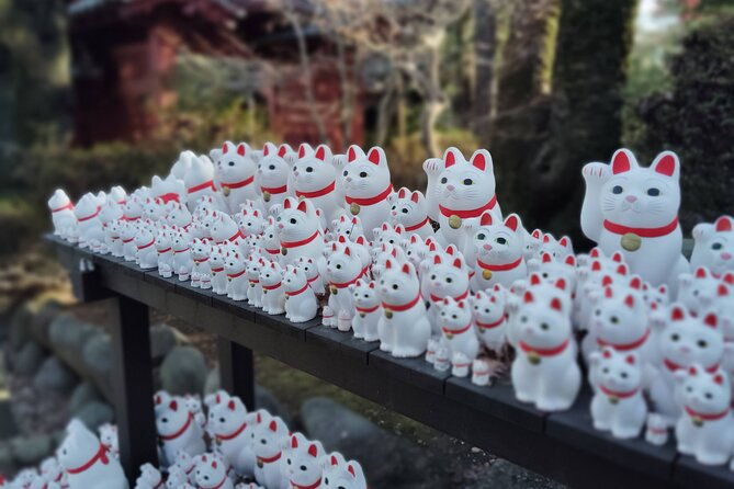 gotokuji-temple-walking-tour-with-numerous-cat-statues
