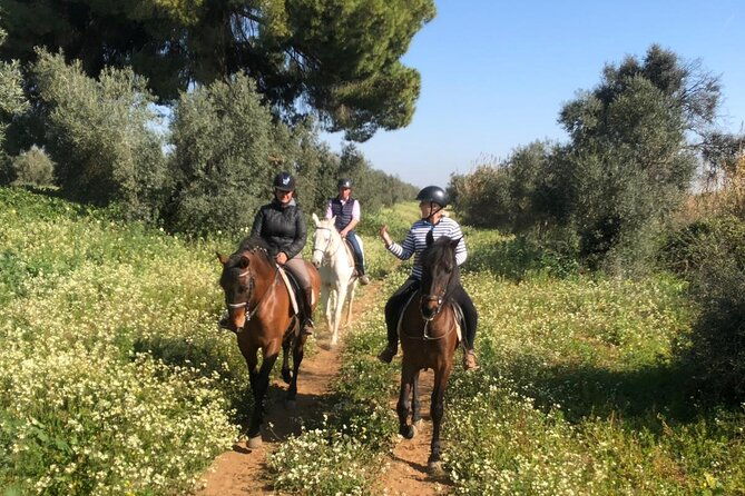 granada-sierra-nevada-horse-riding-tour