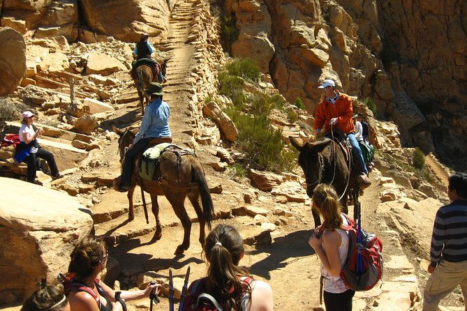 grand-canyon-hike-from-sedona-or-flagstaff-with-7-guest-limit