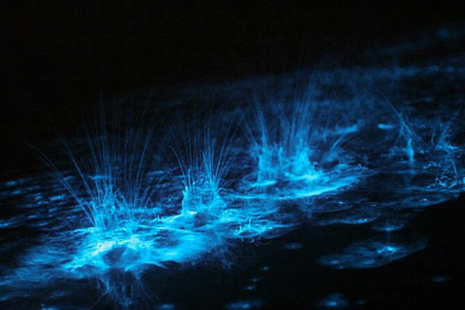 grand-cayman-bioluminescent-bay-adventure