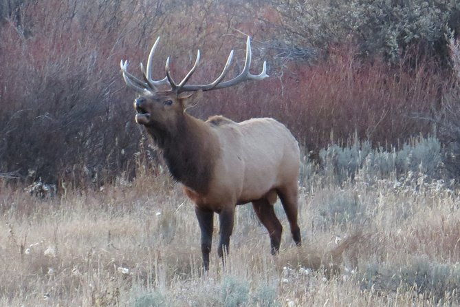 grand-teton-national-park-private-sunrise-tour-from-jackson-hole