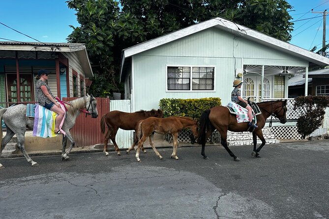 gros-islet-village-horseback-riding-run-with-dores-riding-stable
