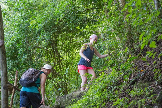 gros-piton-hike
