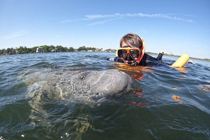 guided-crystal-river-manatee-snorkeling-tour