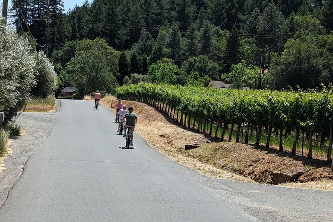 guided-electric-bike-wine-tour-through-sonoma-county
