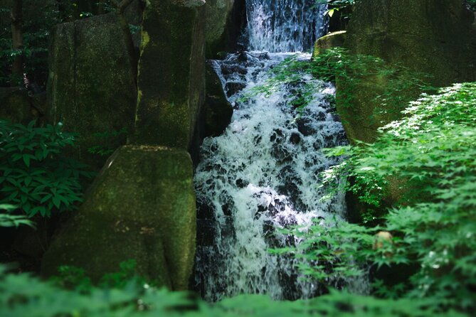 guided-garden-walk-nagoya-castle-gardens-historic-estate