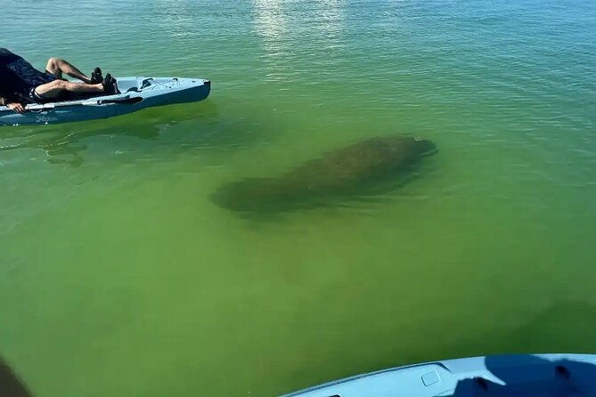 guided-glow-led-kayak-sunset-activity-in-bonita-springs