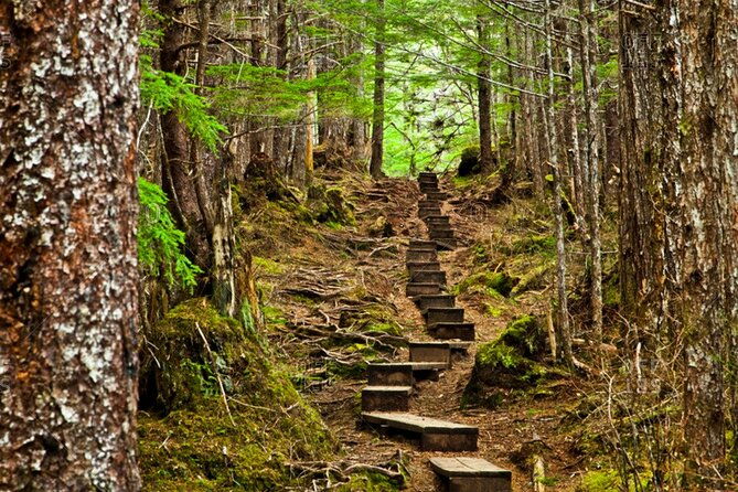 guided-hike-tongass-national-forest