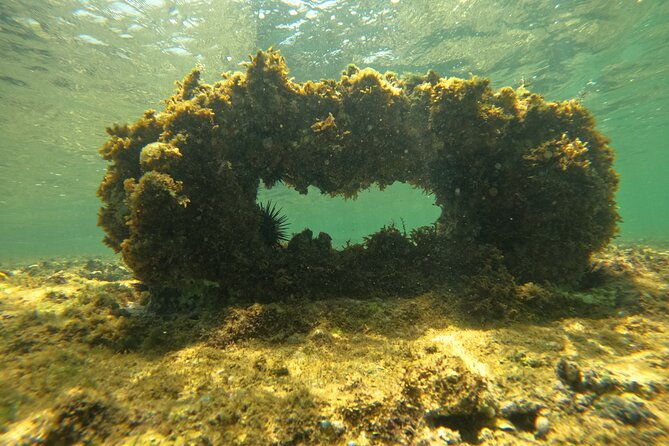 guided-jet-scooter-snorkeling-experience-free-videos-san-juan