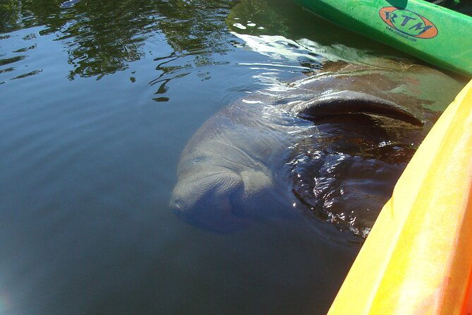 guided-kayak-sunset-tour-in-pelican-bay-at-fort-myers-beach