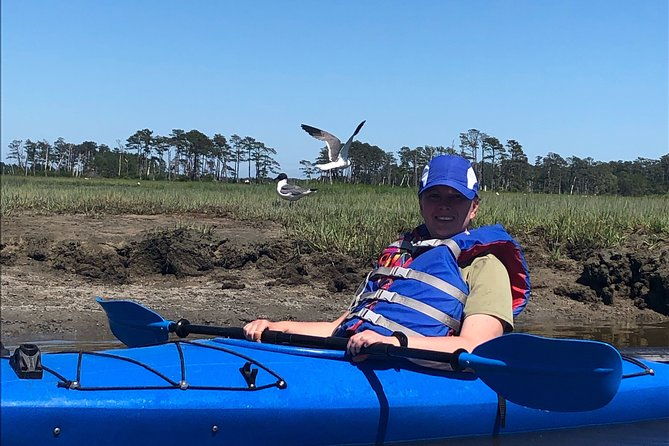guided-kayak-tour-to-see-ponies-birds-dolphins-and-more