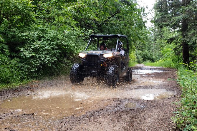 guided-off-road-vehicle-tours-in-north-idaho-forests-2