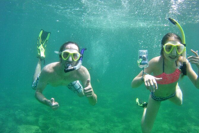 guided-snorkel-experience-in-fort-lauderdale