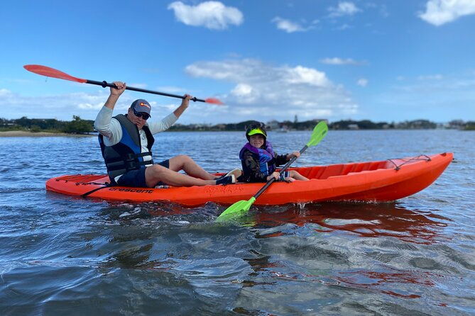 guided-tour-for-dolphin-sea-turtle-observation-in-saint-augustine-florida