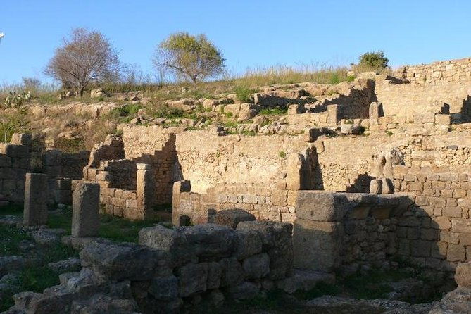 guided-tour-in-morgantina-visit-morgantina