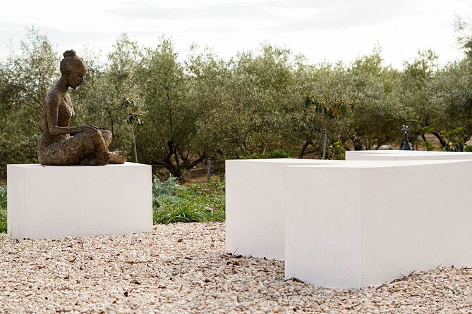 guided-tour-museum-of-contemporary-art-and-sculpture-park