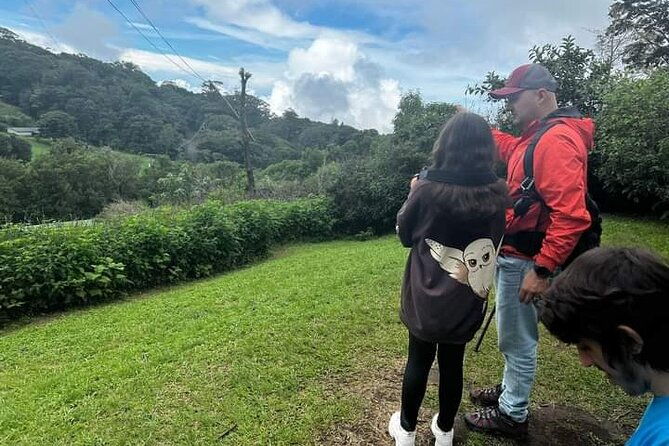 guided-walk-monteverde-biological-reserve-johns-nature-tours