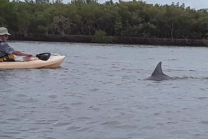 guided-wildlife-eco-kayak-tour-in-new-smyrna-beach