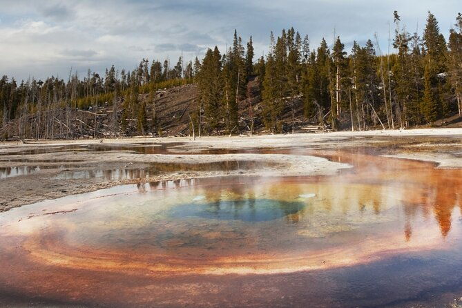 guided-yellowstone-hot-spring-geyser-basin-tour