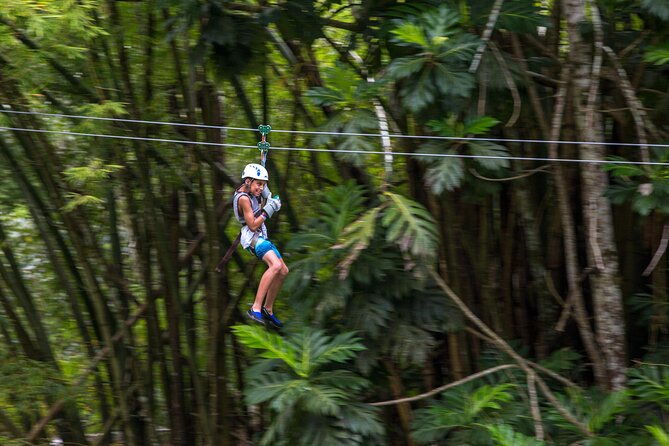 guided-zipline-and-island-gully-falls-at-white-river