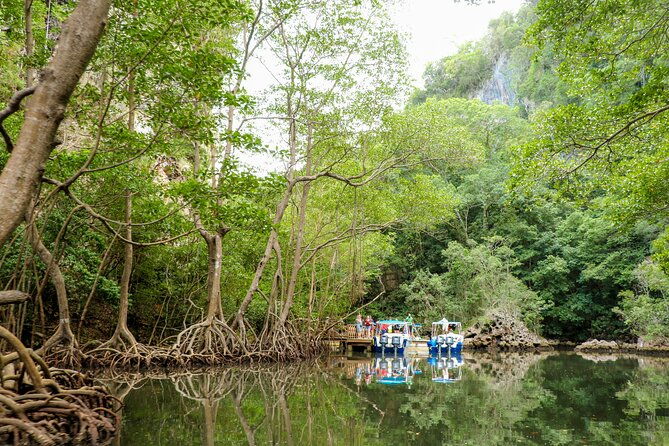 haitises-national-park-and-montana-redonda-full-day