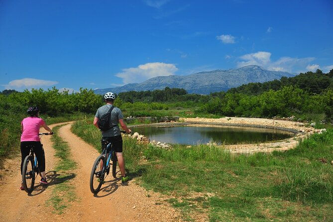 half-day-bike-tour-in-lumbarda-with-wine-tasting-2