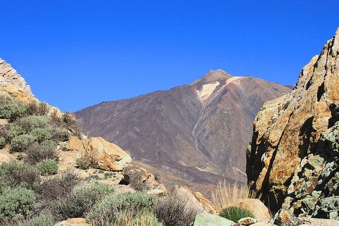 half-day-excursion-to-teide-national-park
