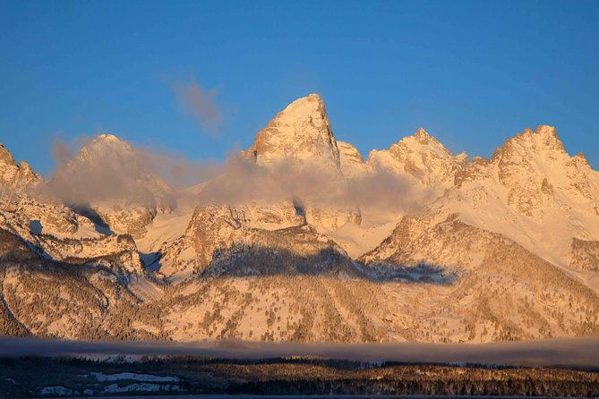 half-day-grand-teton-wildlife-private-safari-tour