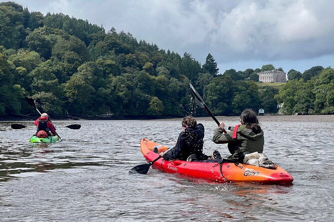 half-day-guided-canoe-trip-in-totnes
