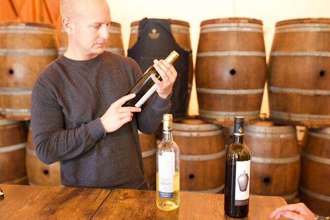 half-day-guided-wine-tasting-tour-in-bordeaux-vineyards-3