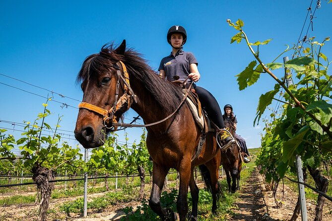 half-day-of-horseback-adventure-with-wine-tasting