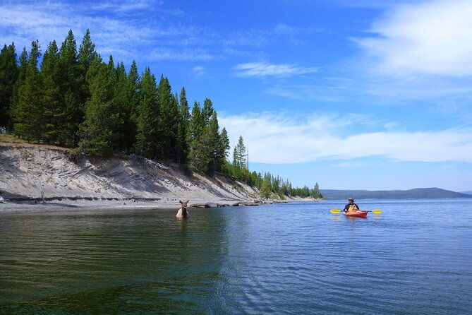 half-day-paddle-on-yellowstone-lake